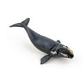 thumbnail image 5 of Papo Right Whale Hand Painted Figurine - Heirloom Quality Collectible No. 56057, 5 of 6