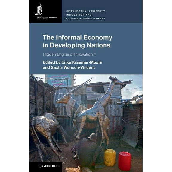 Intellectual Property, Innovation and Ec The Informal Economy in Developing Nations, (Hardcover)