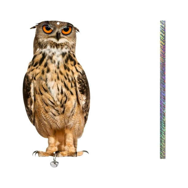 Decoración colgante repelente de pájaros en forma de búho con tiras reflectantes y cascabeles | Espantapájaros acrílico de doble cara para jardín, balcón y patio | Repelente seguro para palomas,