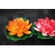 thumbnail image 5 of 4 flores de loto artificiales de espuma flotante de 7 pulgadas para piscina, almohadillas de lirio de agua realistas, rosa marfil blanco naranja carmesí, perfecto para el hogar al aire libre Pati, 5 of 5