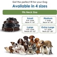 thumbnail image 3 of DowgClub Leather Dog Collar with Double D Rings - Handmade Full Grain Leather for Extra Large Dogs, Black, 3 of 7