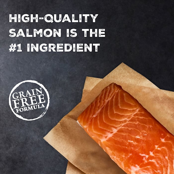 Blue Buffalo Wilderness Bone Broth Boosted Salmon Dry Cat Food, 5lb photo 6