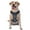 With Accessories, variant on Naloa Magic Toads in Hats Pet Harness Vest with Traction Rope, Adjustable No-Choke Dog Vest for Outdoor, Walking - Large