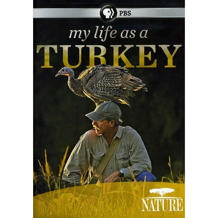 Nature: My Life as a Turkey (DVD), PBS (Direct), Special Interests