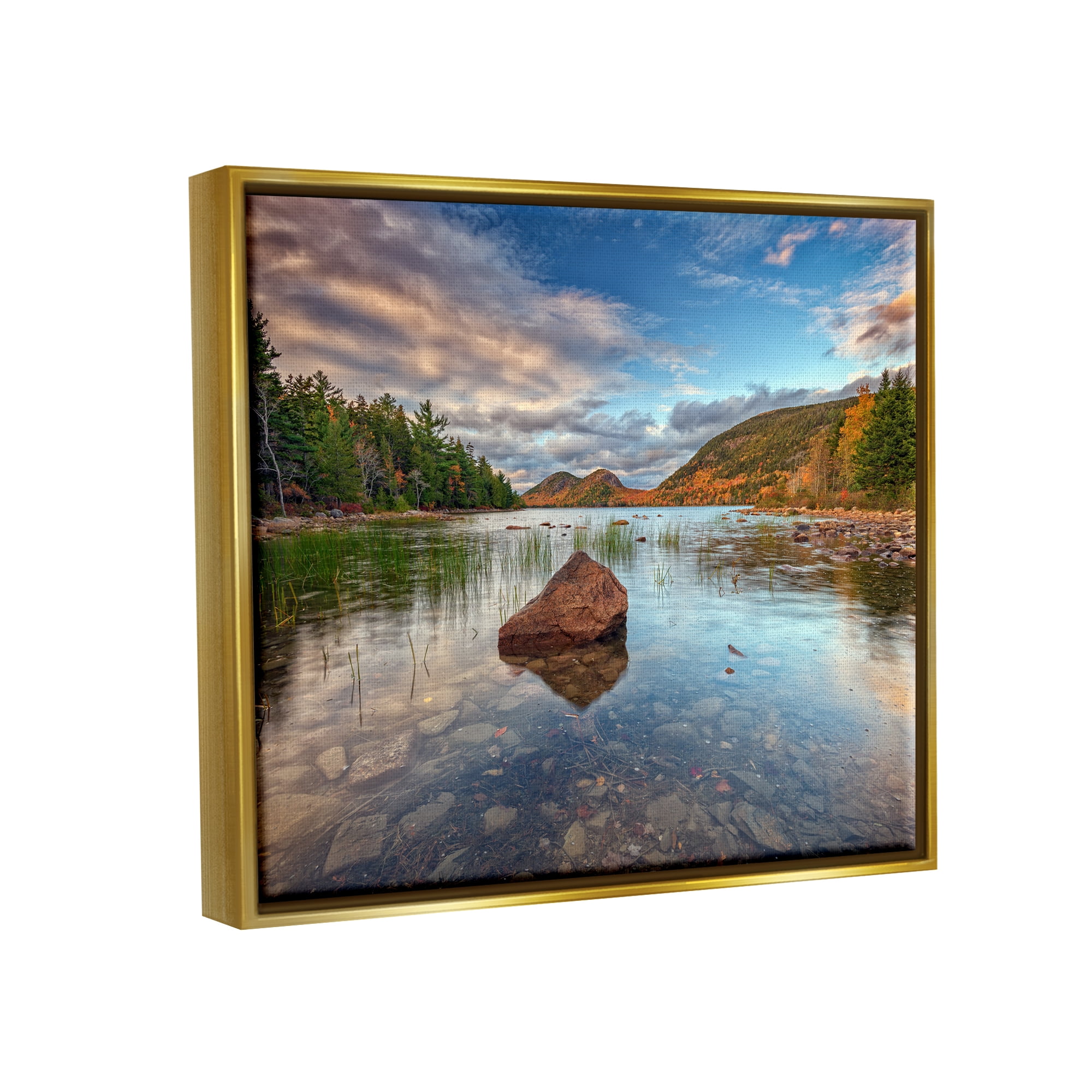 Stupell Rocky Creek Woodland Scenery Landscape Photography Gold Floater Framed Art Print Wall Art