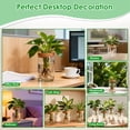 thumbnail image 5 of NewHome 4Pack Glass Propagation Stations For Plants Indoor Glass Planters Hydroponic Plant Vases 2 Large 2 Small for Plant Cuttings Flower Arrangements, 5 of 8
