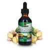 Nature’s Answer Bitters & Ginger Herbal Blend 1,000 mg, Alcohol-Free Liquid Extract, Digestive Support, 2 fl oz