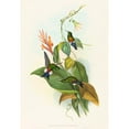 thumbnail image 2 of John Gould 18x24 Black Ornate Framed Double Matted Museum Art Print Titled: Eriocnemis Cupreiventris (Coppery-Vented Puff-Leg), 2 of 5