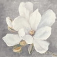 thumbnail image 3 of Purinton, Julia 12x12 Black Modern Framed Museum Art Print Titled - Serene Magnolia Light Gray, 3 of 5