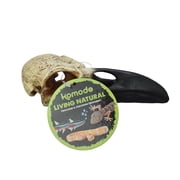 Komodo Raven Skull, Bone and Black Resin, Aquarium Decor