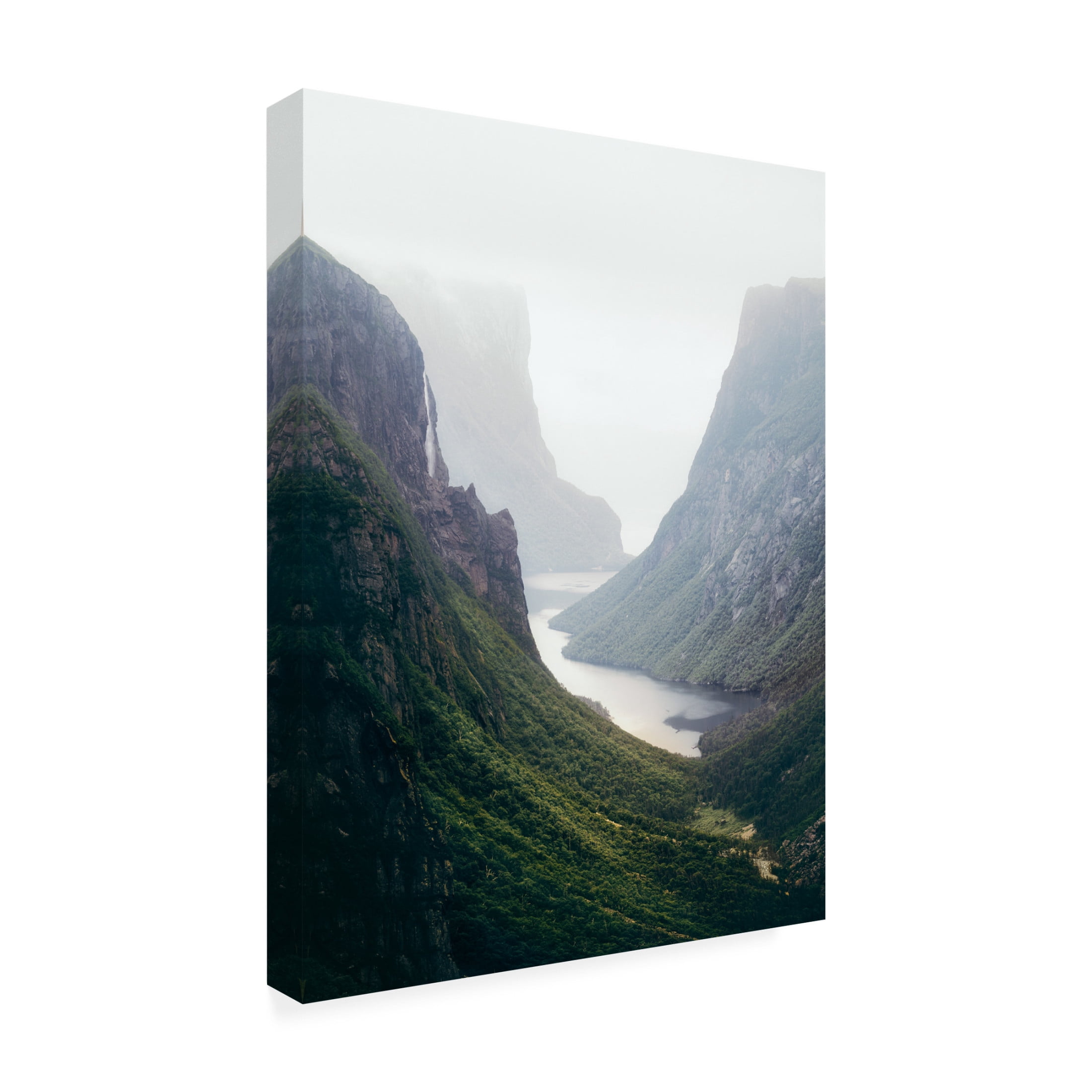 Trademark Fine Art David Fazaeli Newfoundland Fjord Canvas Wall Art