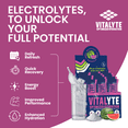 thumbnail image 7 of Vitalyte Watermelon Electrolyte Powder Packets Mix, Isotonic Hydration, 25 Single Serving Stick Packet, 7 of 7