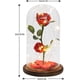 thumbnail image 1 of Beauty And The Beast Rose, Rose Led Light Glass Rose Glass Dome And Red Silk Rose Decoration Valenti, 1 of 4