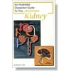 Frey Scientific Mini-Guide to Mammalian Kidney Dissection