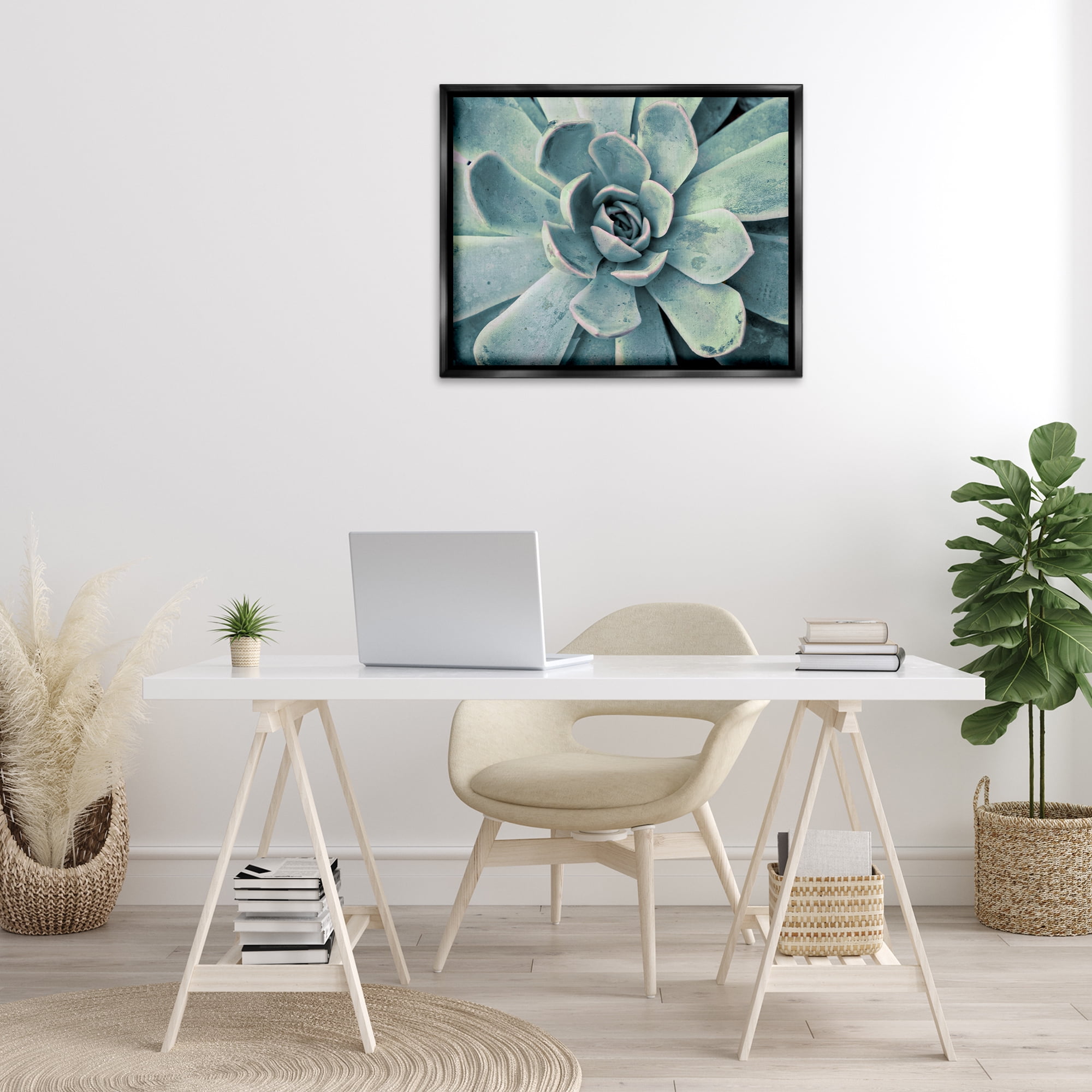 Stupell Industries Green Cactus Succulent Botanical & Floral Photography Black Floater Framed Canvas Art Print Wall Art, 31 x 25