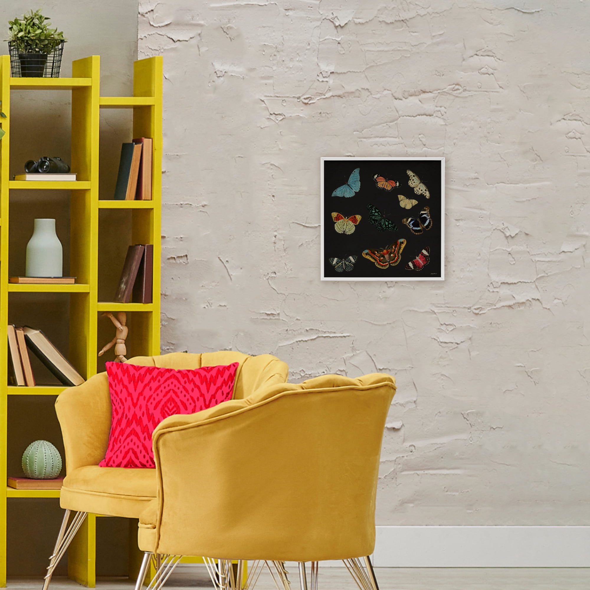 Stupell Industries Insects Group on Black White Framed Giclee Art, design by Dan Meneely