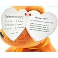 thumbnail image 3 of Ty Beanie Babies Harvester the Bear Thanksgiving Plush 2007, 3 of 8