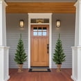 thumbnail image 2 of Northlight 2ct Prelit Artificial Christmas Tree Potted Porch Pine Topiary - Clear Lights, 2 of 6