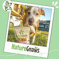 thumbnail image 6 of Nature Gnaws Beef Tendons, Natural Dog Chew Treats (5 count), 6 of 8