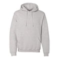 thumbnail image 1 of Sweat-shirt à Capuche Dri&44; Frêne - Extra Large, 1 of 1