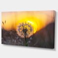 thumbnail image 2 of Stunning Dandelion View At Sunset - Floral Canvas Art Print, 2 of 3