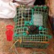 thumbnail image 2 of ColoMX 10 por ciento Trap de pesca al aire libre jaula ideal para camarones y cangrejo cebo portátil jaula cebos de pesca jaula, 2 of 7