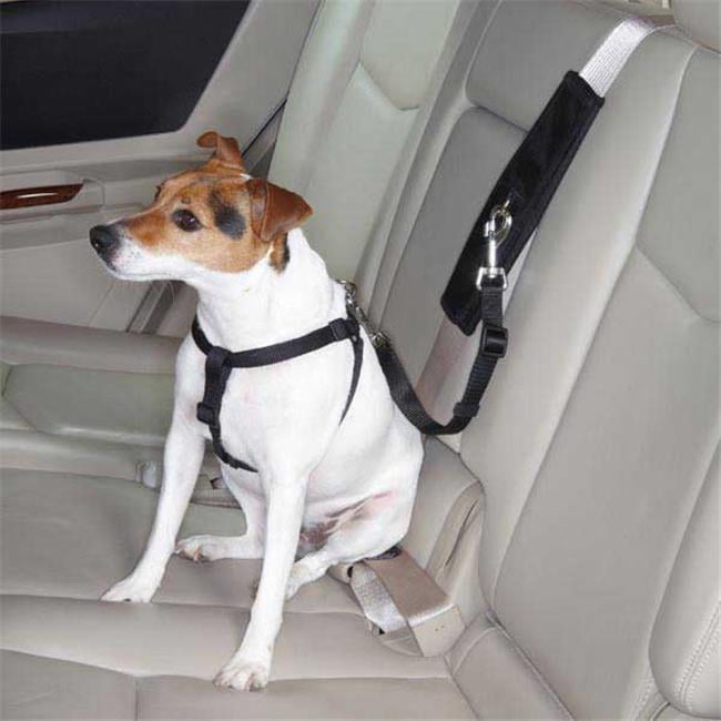 dog car harness walmart
