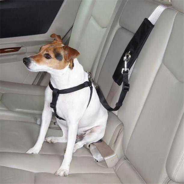 Guardian Gear Ride Dog Right Seat Belt Connector Black Com - Good To Go Dog Seat Belt