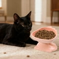 thumbnail image 3 of YOTQUSKI Pet Bowls Elevated, Cat Bowls Elevated Tilted Whisker Friendly, Cute Pet Bowl Proof Proof Protection Cervical Spine-proof Black Chin Cats Food Plates, 3 of 5
