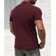 thumbnail image 4 of Playera Polo Hombre Slim Fit Manga Corta Moda Casual, 4 of 7