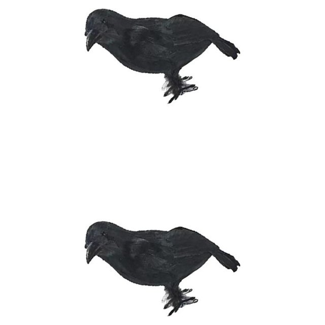 Yuarrent Halloween Black Crows Artificial Prop Bird Raven Supplies Decoy Realistic Birds Models Outdoor With Feather Toys No.1 2Conjunto