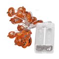 thumbnail image 1 of Cuerda De Luces De Calabaza, Luces De Halloween LED De 20 Piezas Cuerda De Luz Tibia Batería De Luz Atractiva Decorativa Para Chimenea, 1 of 7