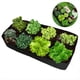 thumbnail image 3 of Bolsa Rectangular para Plantar Fieltro para Verduras, Flores, Bolsillos Elevados para de Jardín, Bolsas Cuadradas de Rejilla Múltiple para Cultivo de Plantas S, 3 of 5
