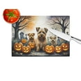 thumbnail image 4 of Norfolk Terrier Spooky Halloween Glass Cutting Board Large 12 in x 15 in, 4 of 5