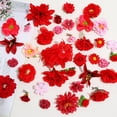 thumbnail image 5 of 36 Pack Flower Hair Clips Red Rose Hair Accessories for Women Red  Bride Floral Hairpin Brooch Pin Headpiece for Girls Wedding, 5 of 14