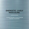 thumbnail image 2 of Eau de Parfum Territoire Platinum YZY Perfume, 2 of 6