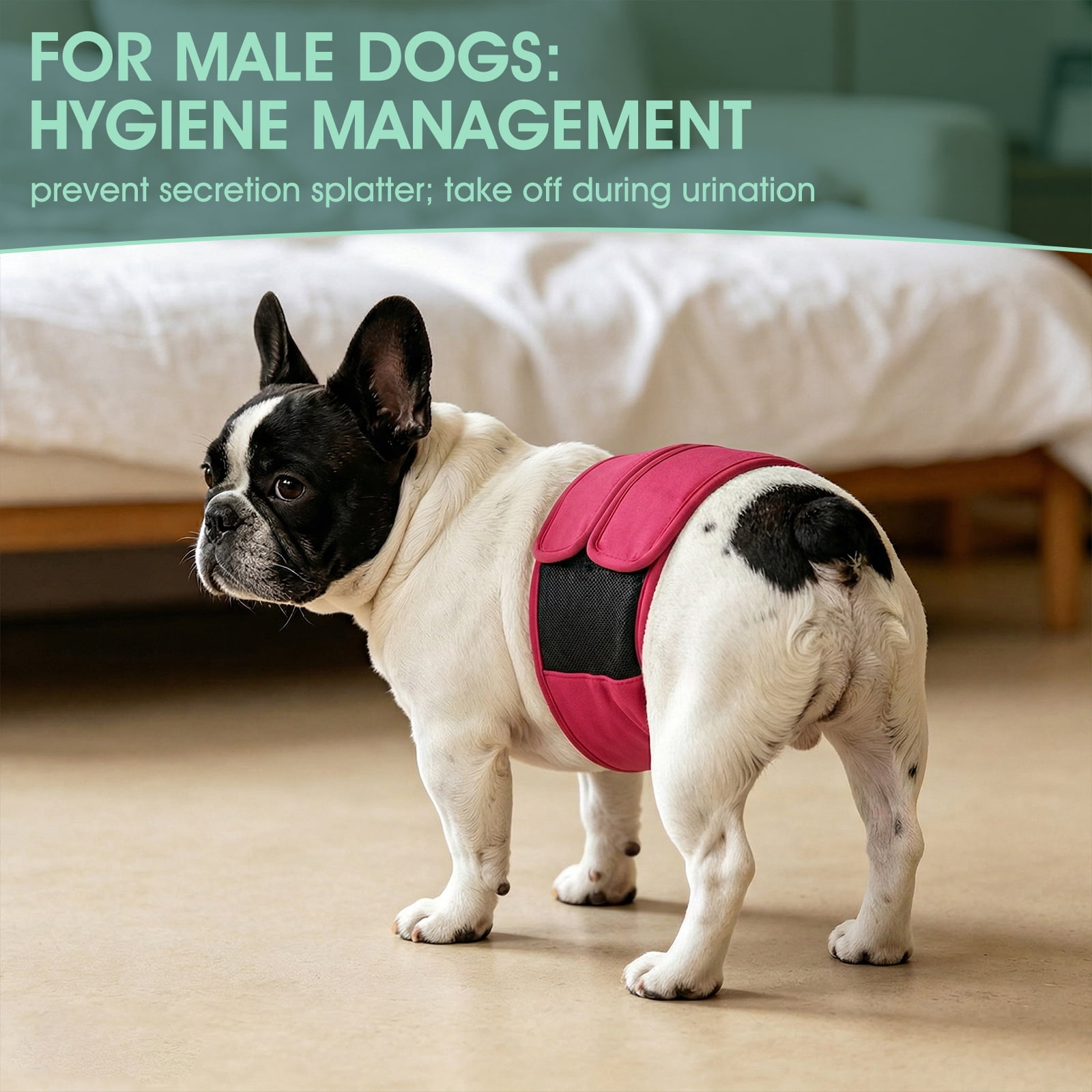 Kuoser Reusable Dog Diaper, Period Pant for Females in Heat & Incontinence Wrap for Males, Washable, Rose-Red, S (1 Pack)