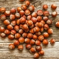 thumbnail image 3 of Hazelnut (Corylus) Dormant Bare Root Starter Nut Tree (1-Pack), 3 of 4