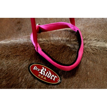 Horse Show Bridle Western Leather Barrel Racing Tack Rodeo NOSEBAND 99110