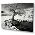 thumbnail image 2 of Designart "Winter Solitude Tree In Black And White" Winter Landscape Wall Art Living Room, 2 of 7