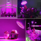 thumbnail image 3 of Lámpara Con 200 Luces Led Para Crecimiento De Plantas Malubero base cálida: E27., 3 of 3
