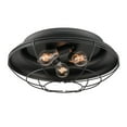 thumbnail image 3 of Millennium Lighting - 3 Light Outdoor Flush Mount-7.25 Inches Tall and 17.25, 3 of 4