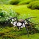 thumbnail image 1 of Figura de araña Hugo Juguete educativo Decoración del hogar 11,6 cm x 8,5 cm x 2 cm, 1 of 10