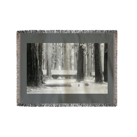 State Park Entrance - Richardson Grove State Park Entrance (60x80 Woven Chenille Yarn Blanket)
