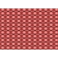 thumbnail image 1 of Ahgly Tapis Rectangulaire Rouge Lavable en Machine, 3 Pieds x 5 Pieds, 1 of 7