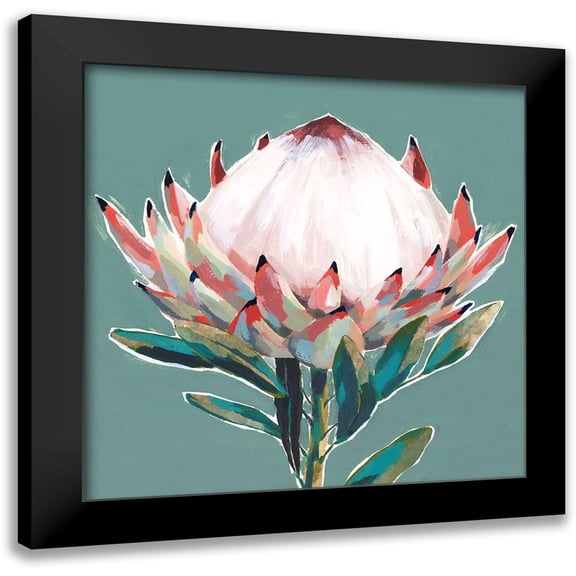 Isabelle Z 12x12 Black Modern Framed Museum Art Print Titled - Blooming King Protea