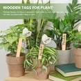 thumbnail image 4 of 50pcs Plant Labels Wooden Plant Tags Garden Labels Stakes Plant Markers, 4 of 8