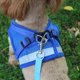 thumbnail image 4 of Arnés para mascotas, correa para perro estilo chaleco, correa reflectante para perro, suministros para mascotas (1 pieza, negro) JAMW Sencillez, 4 of 4