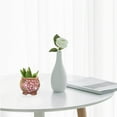 thumbnail image 5 of OUNONA  2 Pcs Hand-painted Plain Pottery Flower Plant Pots Indoor Plants, 5 of 8