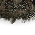 Passport Collection Guinea Fowl Feather Placemats Set of 6